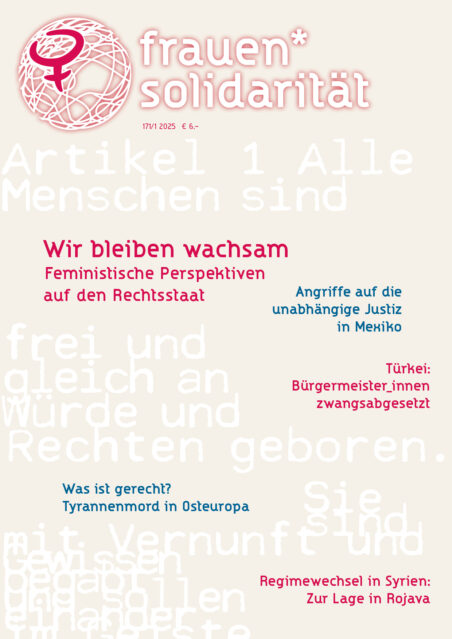 Cover frauen*solidarität Nr. 171